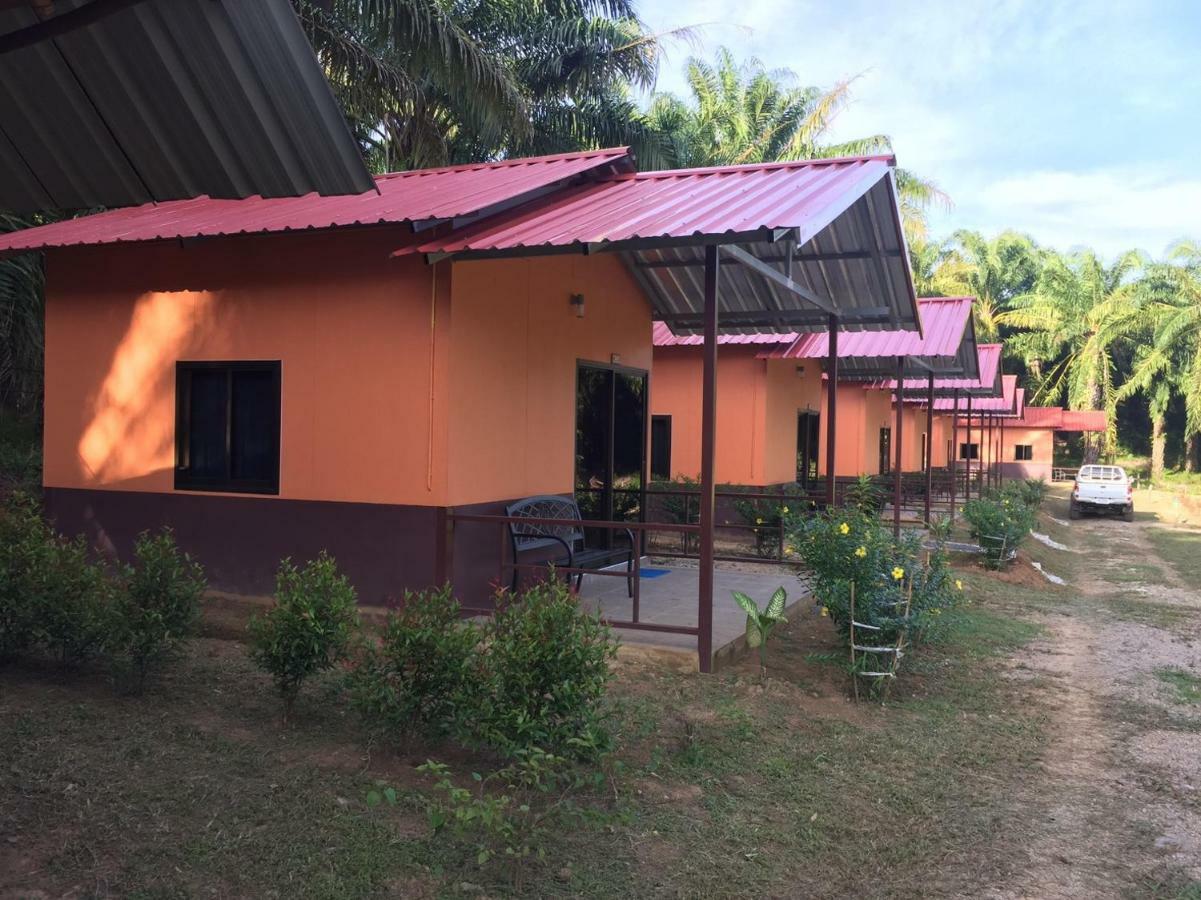Khao Sok Evergreen House Khao Sok National Park Extérieur photo
