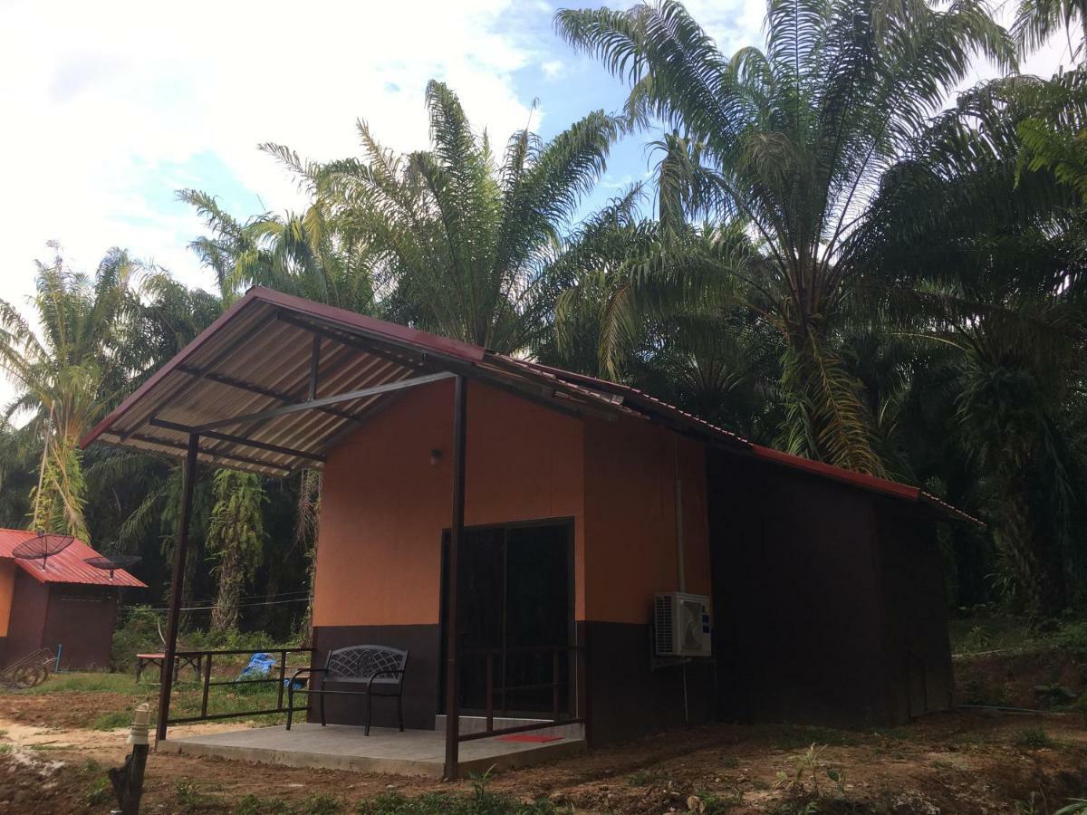 Khao Sok Evergreen House Khao Sok National Park Extérieur photo